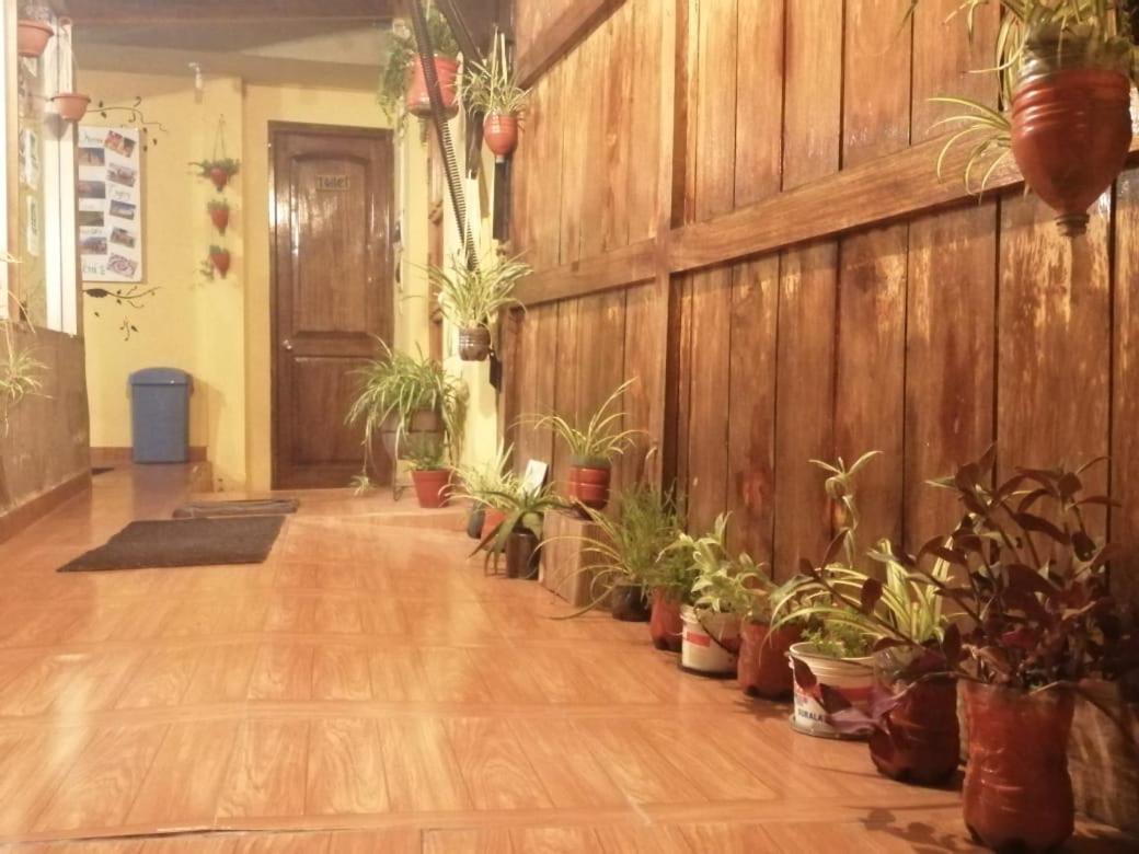 Eco Aventura Hostel Cusco Exteriör bild